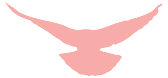 https://wxsfxsy.wxlxjy.com/contents/sitefiles2060/10301139/images/41741319.png